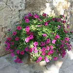 Lauro Apartmán Castellina in Chianti