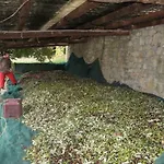Lauro Apartmán